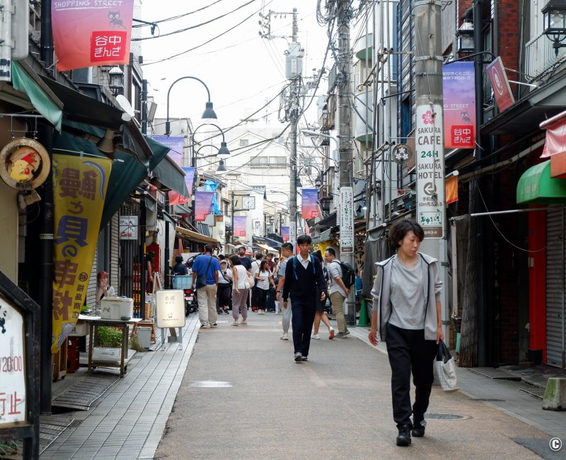 Yanaka Ginza (Tokyo), rue commerçante en automne