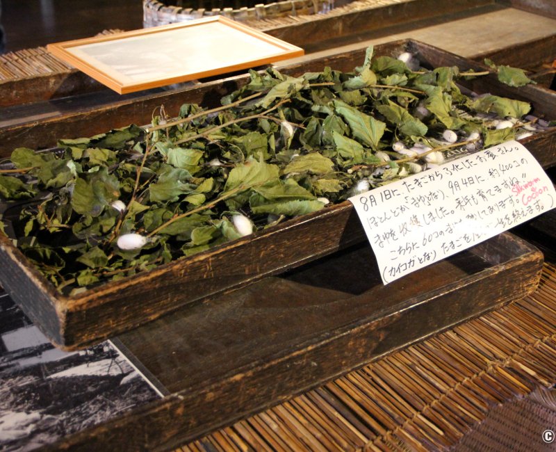 Résidence Wada (Shirakawa-go), exposition sur la sériciculture 