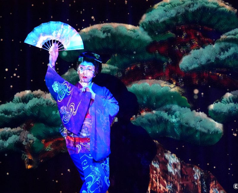 Suigian (Tokyo), représentation de danse traditionnelle Nihon-Buyo avec projection de mapping video