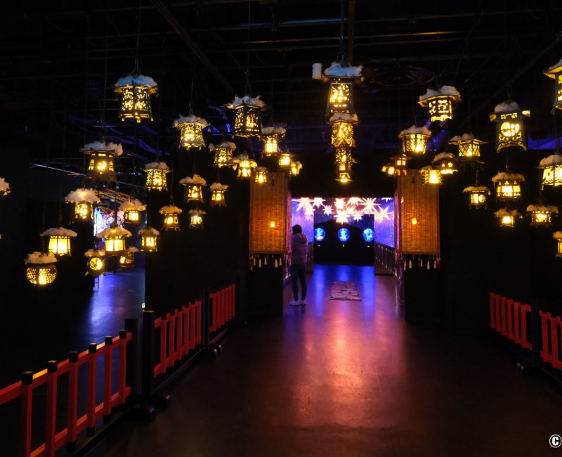 Art Aquarium Museum GINZA (Tokyo), espace d'exposition Ginza Mantoro en début de visite