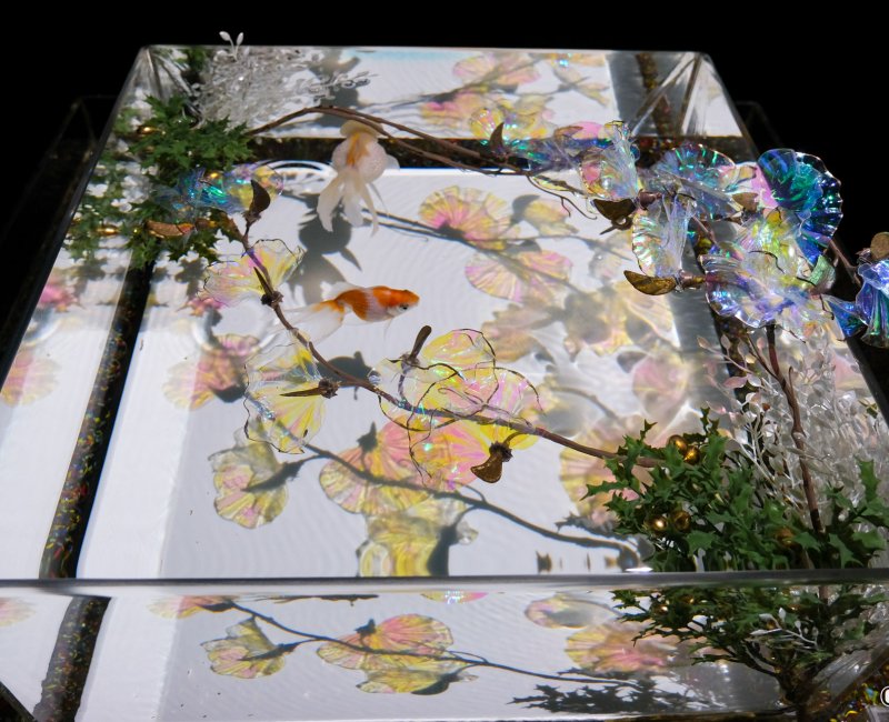 Art Aquarium Museum GINZA (Tokyo), espace d'exposition A Show of Kingyo 2