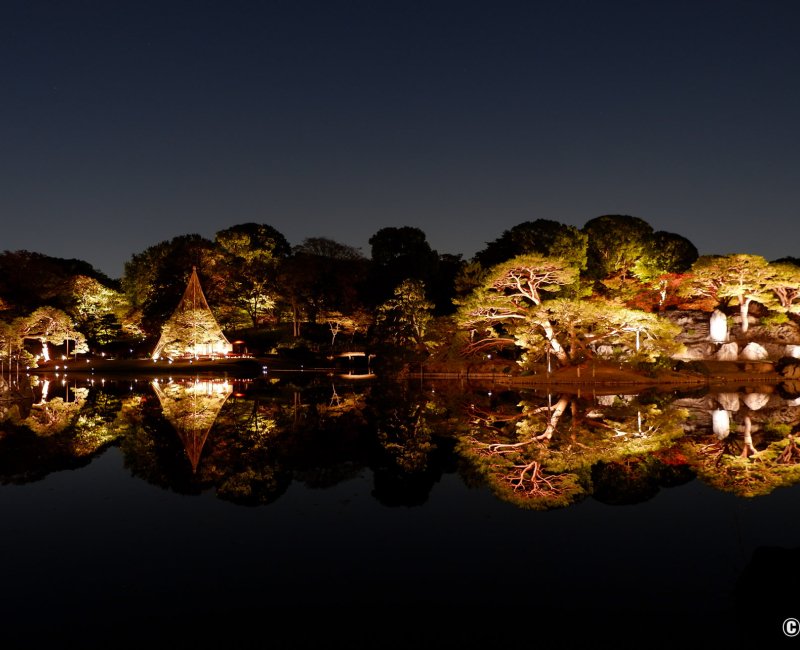 Illuminations automnales du Rikugi-en (Tokyo), reflet du paysage de l'île Naka-no-shima sur l'étang Illuminations automnales du Rikugi-en (Tokyo), reflet du paysage de l'île Naka-no-shima sur l'étang