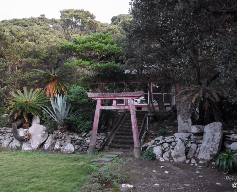 Tanegashima (Kyushu), sanctuaire shinto au port de pêche d'Okawa Tanegashima (Kyushu), sanctuaire shinto au port de pêche d'Okawa