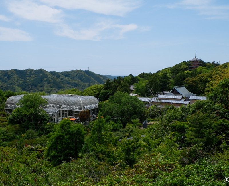 Jardin botanique Makino (Kochi), Vue sur la grande serre Conservatory et le temple Kyuchikurin-in