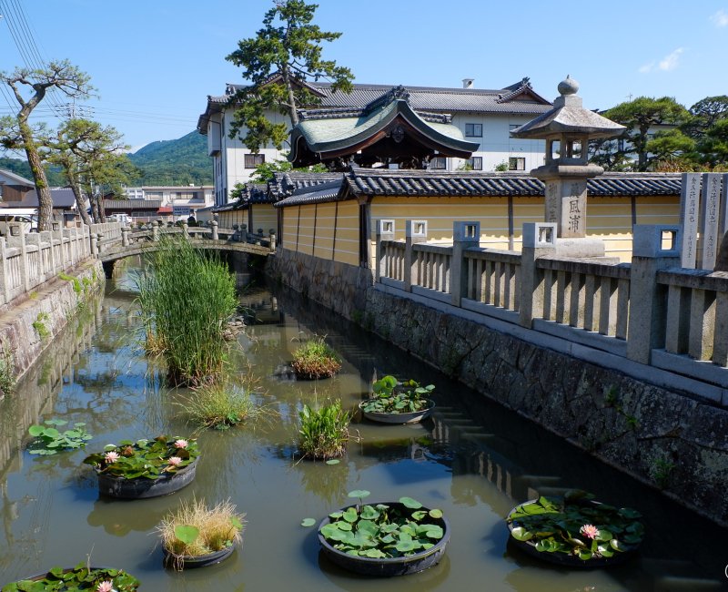Zentsu-ji (Shikoku), Plan d'eau aménagé entre les 2 enceintes Zentsu-ji (Shikoku), Plan d'eau aménagé entre les 2 enceintes