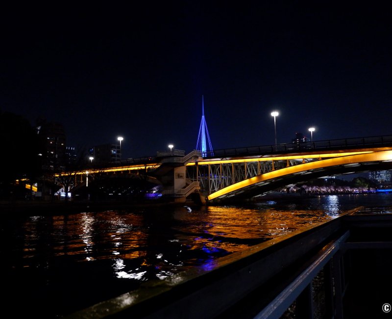 Osaka River Fantasy, croisière nocturne sur la rivière Okawa 2