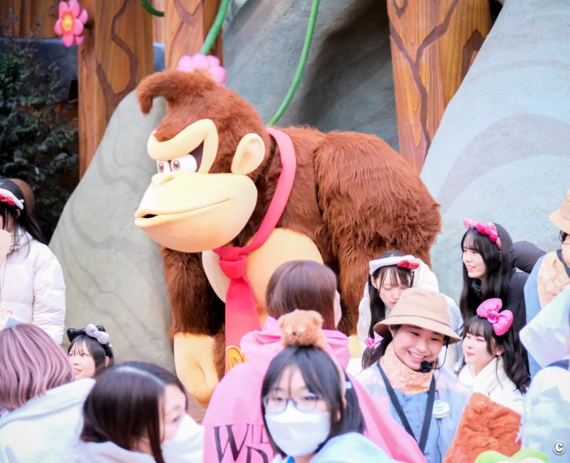 Donkey Kong Country (USJ, Osaka), séance de photo avec la mascotte Kong Donkey Kong Country (USJ, Osaka), séance de photo avec la mascotte Kong