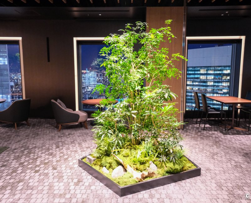 The Royal Park Hotel Iconic Tokyo Shiodome, salon privé Executive Lounge 2