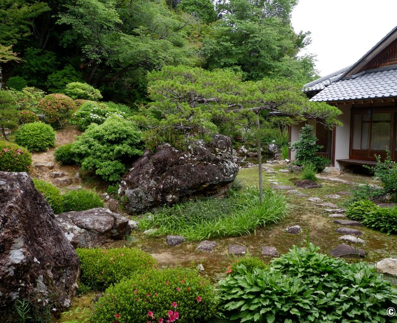 Chikurin-ji (Kochi), Vue partielle du jardin Zen près du pavillon Shoin Chikurin-ji (Kochi), Vue partielle du jardin Zen près du pavillon Shoin