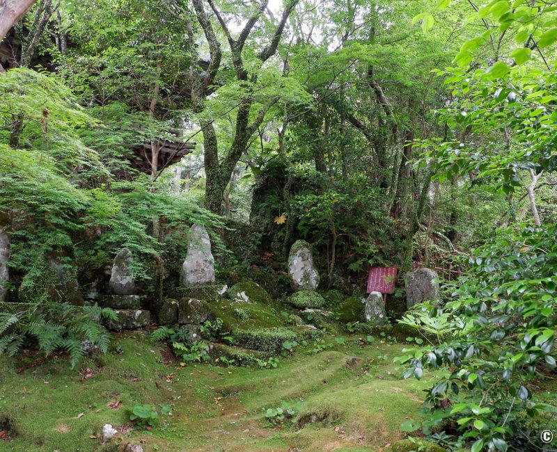 Chikurin-ji (Kochi), Tapis de mousse et stèles dans l'enceinte du temple Chikurin-ji (Kochi), Tapis de mousse et stèles dans l'enceinte du temple