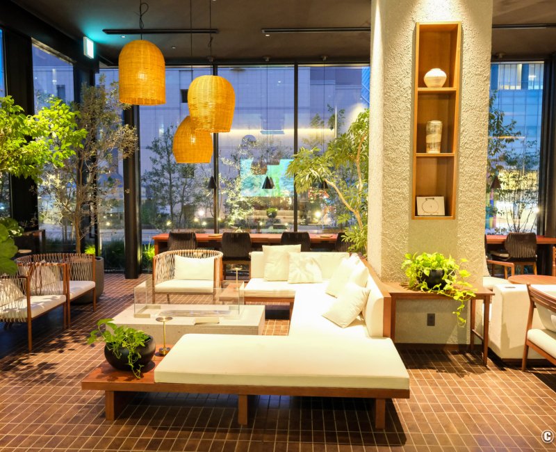 The Royal Park Canvas Fukuoka Nakasu (Kyushu), Lounge végétalisé de l'hôtel The Royal Park Canvas Fukuoka Nakasu (Kyushu), Lounge végétalisé de l'hôtel