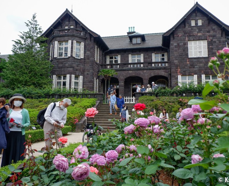Kyu Furukawa Teien (Tokyo), vue sur le jardin de roses en fleurs devant l'ancienne résidence Furukawa 2