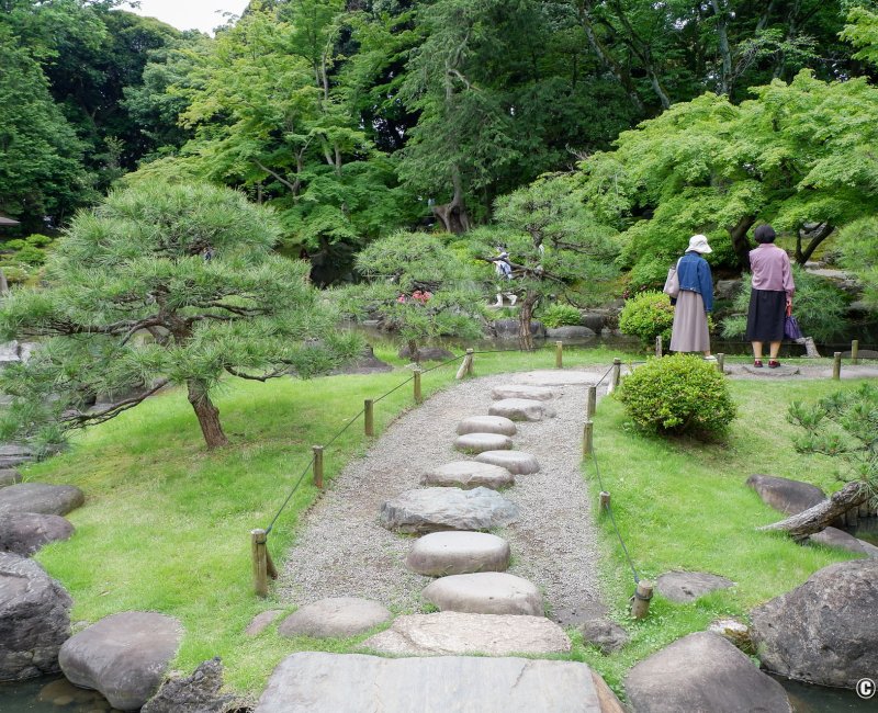 Kyu Furukawa Teien (Tokyo), promenade verte au sein du jardin japonais au bord de l'étang Shinji-ike