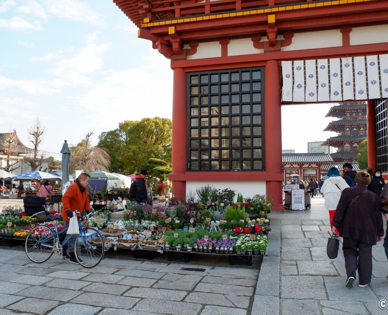 Marché aux antiquités de Shitenno-ji (Osaka), stand de fleurs Marché aux antiquités de Shitenno-ji (Osaka), stand de fleurs