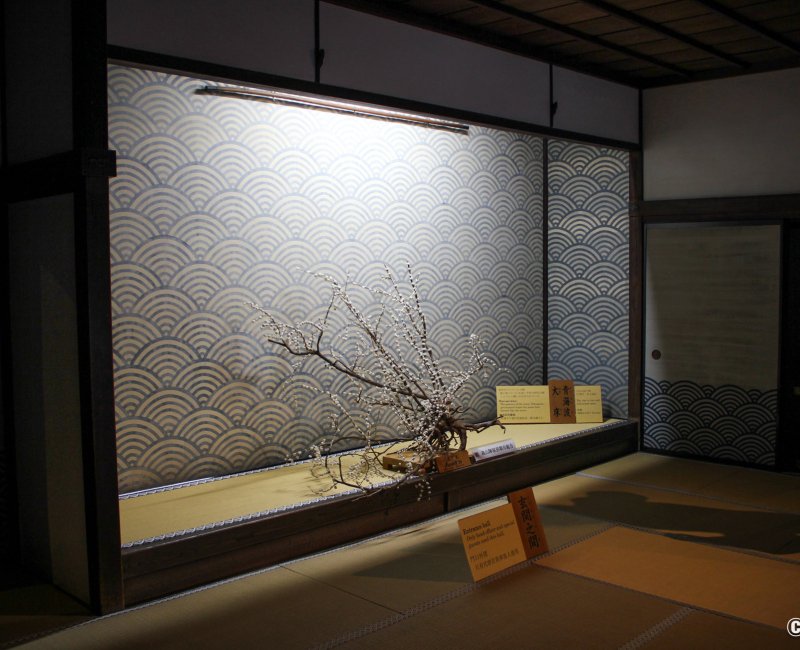 Takayama Jinya, Alcôve tokonoma décorée du motif seigaiha dans l'entrée