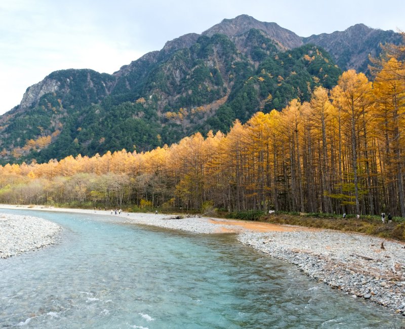 Kamikochi (Nagano), randonnée au bord de la rivière Azusa-gawa à l'automne Kamikochi (Nagano), randonnée au bord de la rivière Azusa-gawa à l'automne