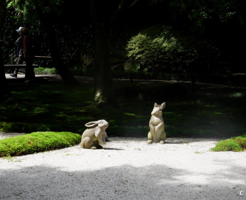 Meigetsu-in (Kamakura), statues de lapin symbole de Tsukimi dans le jardin intérieur du temple Meigetsu-in (Kamakura), statues de lapin symbole de Tsukimi dans le jardin intérieur du temple