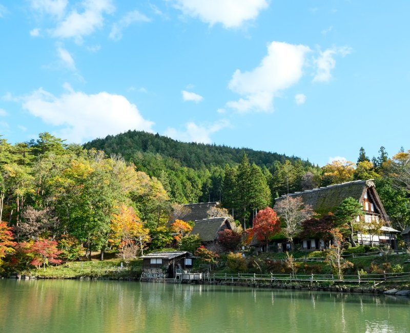 Hida no Sato (Alpes Japonaises), vue d'ensemble sur le village traditionnel et son étang à l'automne Hida no Sato (Alpes Japonaises), vue d'ensemble sur le village traditionnel et son étang à l'automne