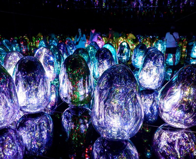 teamLab Biovortex Kyoto, Resonating Microcosms - Solidified Light teamLab Biovortex Kyoto, Resonating Microcosms - Solidified Light