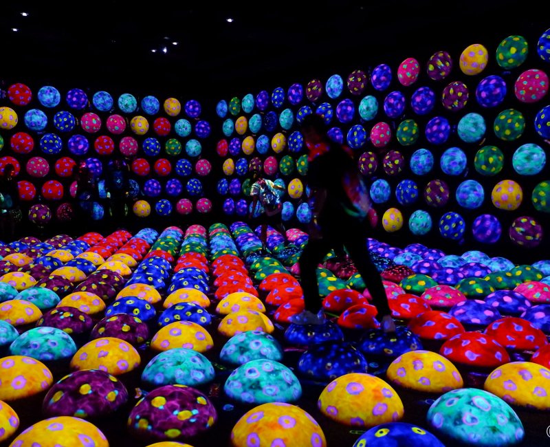 teamLab Biovortex Kyoto, Athletics Forest, Rapidly Rotating Bouncing Spheres in the Caterpillar House teamLab Biovortex Kyoto, Athletics Forest, Rapidly Rotating Bouncing Spheres in the Caterpillar House