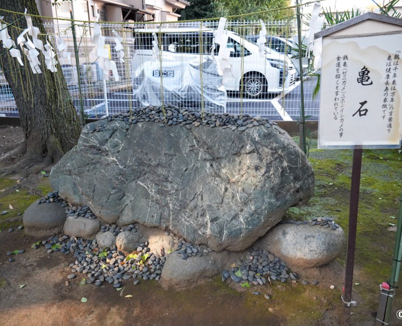 Komagome Tenso-jinja (Tokyo), Rocher-tortue Kame-ishi 2 Komagome Tenso-jinja (Tokyo), Rocher-tortue Kame-ishi 2