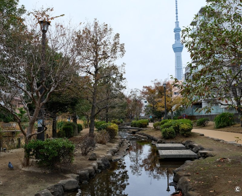Oyoko-gawa (Tokyo), parc Oyokogawa-Shinsui Koen 2