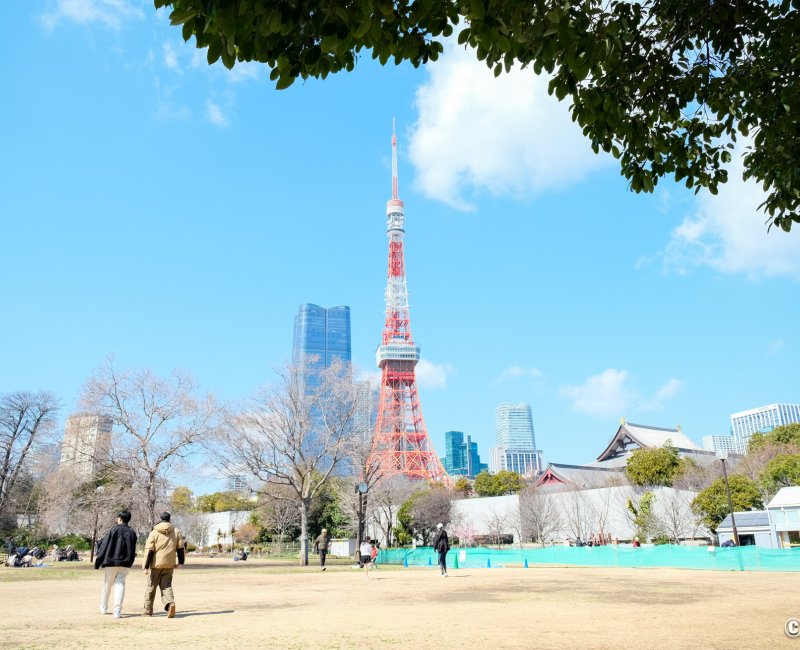Parc Shiba (Tokyo), panorama depuis les pelouses avec vue sur Tokyo Tower et Zojo-ji 2