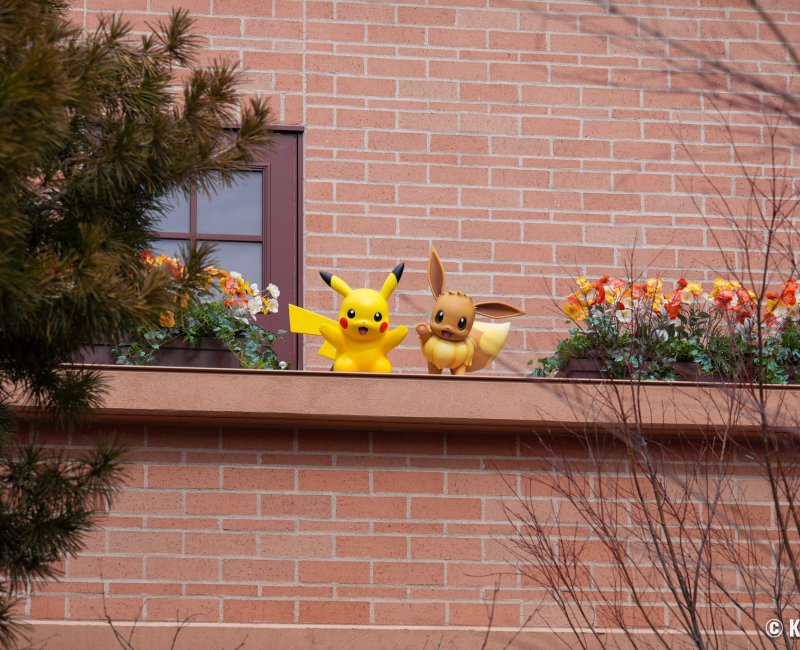 PokéPark Kanto (Tokyo), Pikachu et Evoli sur un toit de Bourg-les-Joncs