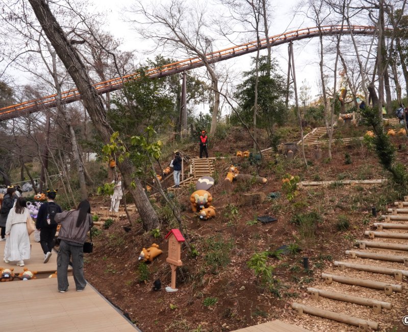 PokéPark Kanto (Tokyo), Zone des Pokémon Keunotor et escaliers dans la Pokémon Forest