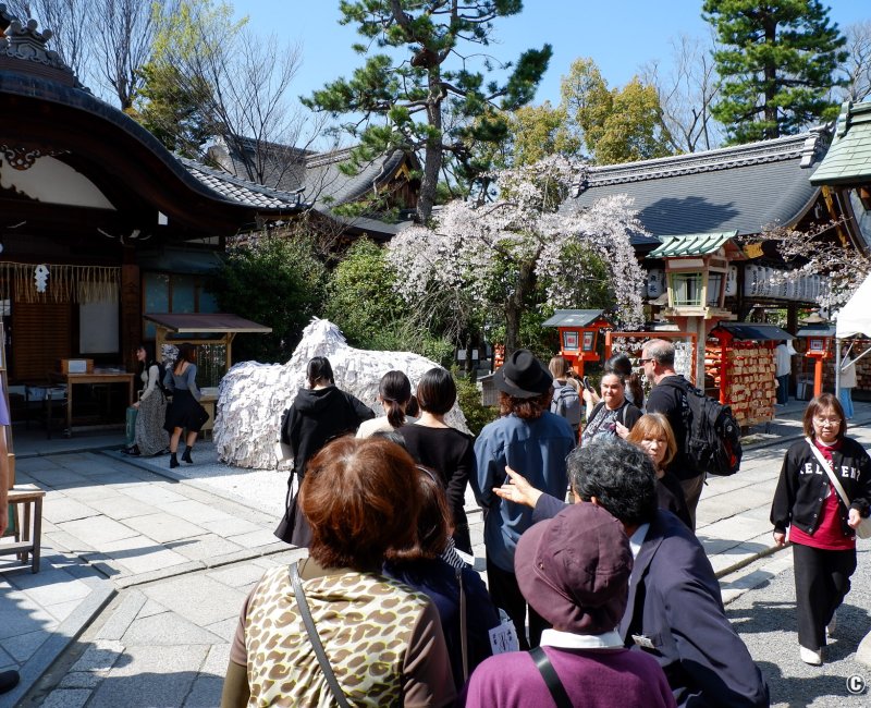 Yasui Kompiragu (Kyoto), File d'attente pour passer dans le rocher Enkiri enmusubi ishi