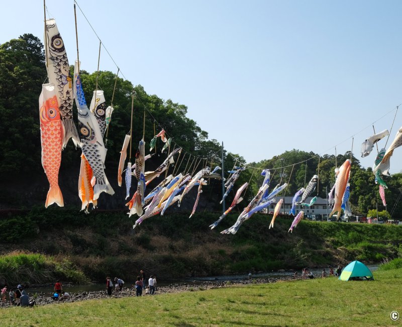Golden Week au Japon, guirlandes de carpes Koinobori au-dessus d'une rivière à Matsue (Shimane) 2