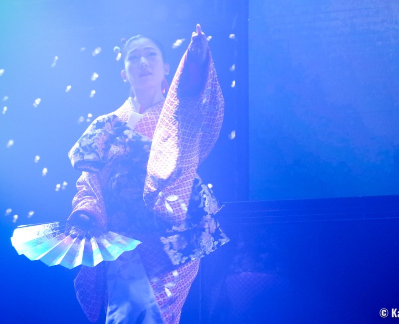 Ninja + Kabuki Tokyo (Shinjuku), Courtisane exécutant une danse nihon buyô