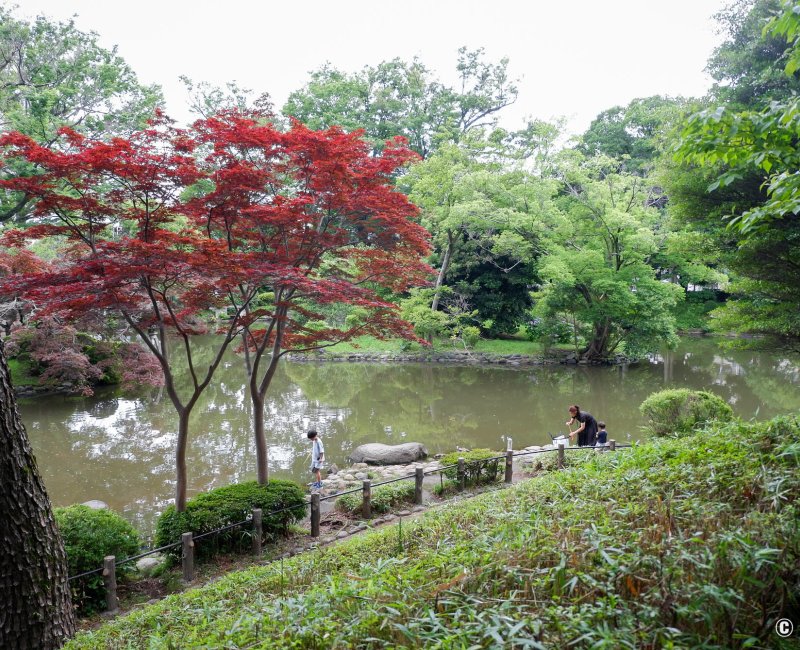 Azabu-Juban (Tokyo), Etang du parc mémorial Arisugawa-no-miya à Minami-Azabu Azabu-Juban (Tokyo), Etang du parc mémorial Arisugawa-no-miya à Minami-Azabu