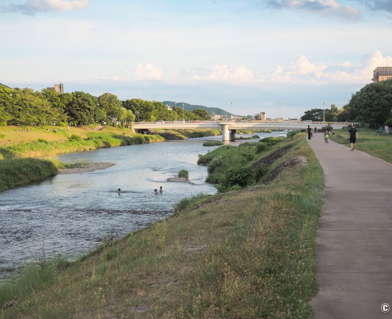Chaleur en été au Japon, baignades dans la rivière Kamo-gawa à Kyoto