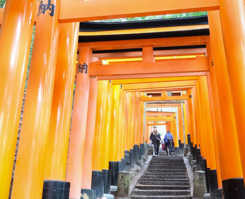 Fushimi Inari Taisha à Kyoto, Tunnel de Torii avec marches pour ascension du mont Inari