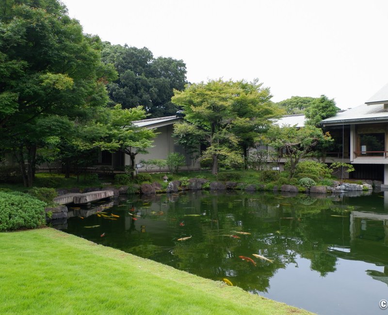 Palais d'Akasaka (Tokyo), Etang à carpes dans le jardin japonais Palais d'Akasaka (Tokyo), Etang à carpes dans le jardin japonais