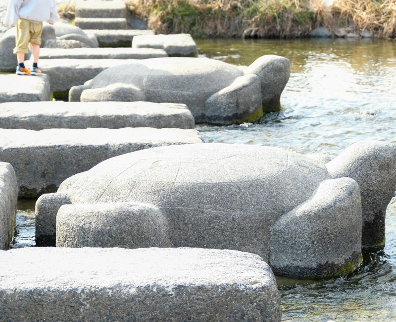 Delta de Demachiyanagi (Kyoto), pierres de gué en forme de tortue et rectangulaires Delta de Demachiyanagi (Kyoto), pierres de gué en forme de tortue et rectangulaires