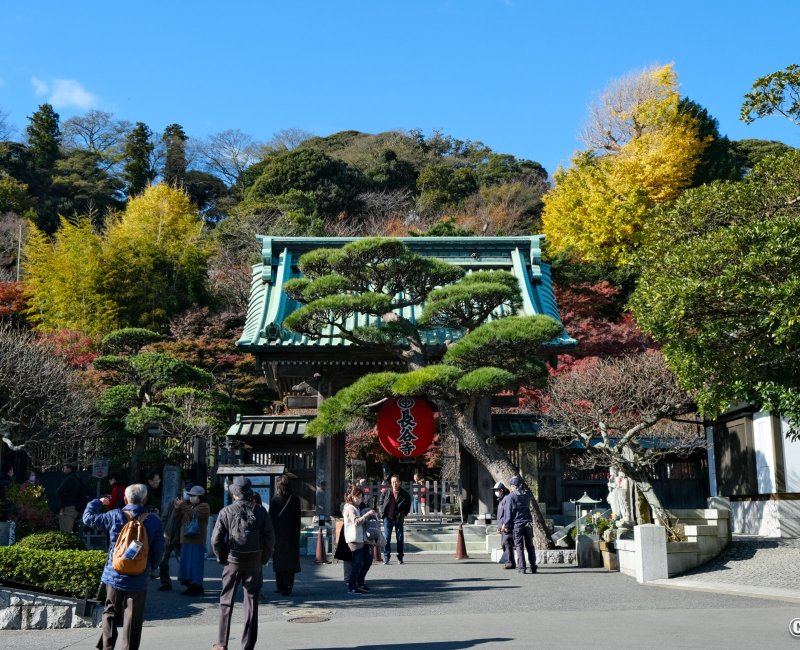 Kamakura, entrée du temple Hase-dera