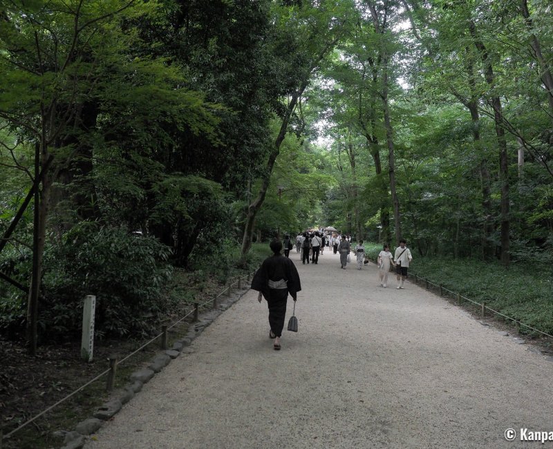 Tadasu no Mori (Kyoto), allée dans la forêt en été