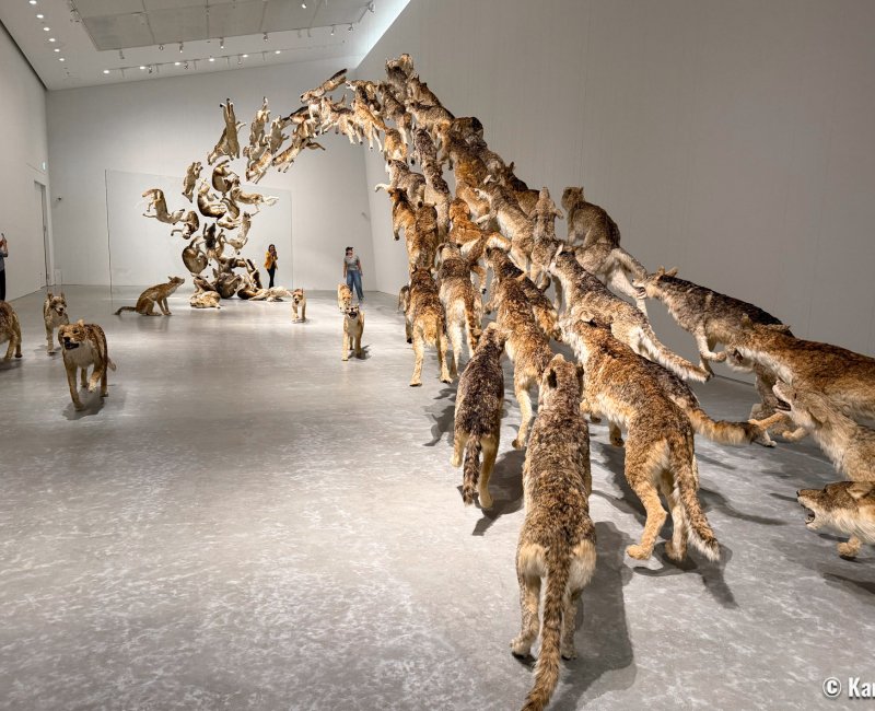 Naoshima, Honmura, Naoshima New Museum of Art, Head On de Cai Guo-Qiang Naoshima, Honmura, Naoshima New Museum of Art, Head On de Cai Guo-Qiang