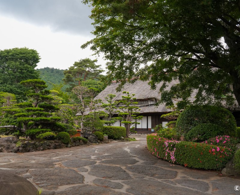 Oshino Hakkai (Fujiyoshida), Plantations de pins et d'azalées dans le jardin d'une maison à toit de chaume Oshino Hakkai (Fujiyoshida), Plantations de pins et d'azalées dans le jardin d'une maison à toit de chaume
