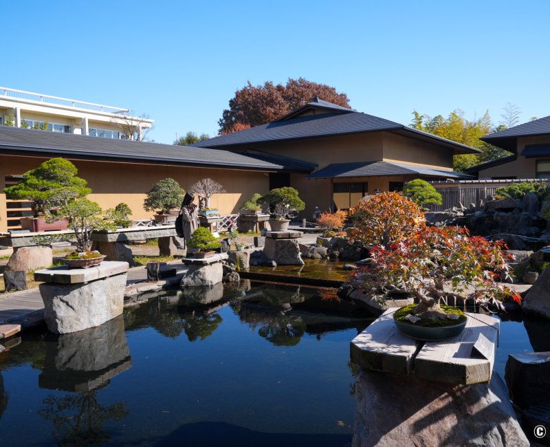 Musée d'art du bonsaï d'Omiya (Saitama), Vue sur le jardin de bonsaï et son plan d'eau en automne