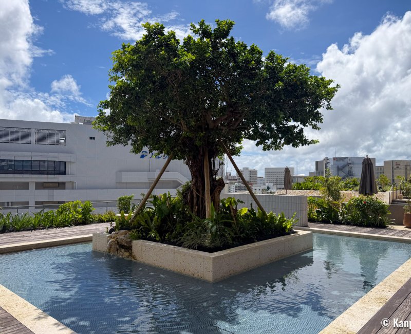 The Royal Park Hotel Iconic Naha (Okinawa), arbre Gajumaru et son bassin en extérieur The Royal Park Hotel Iconic Naha (Okinawa), arbre Gajumaru et son bassin en extérieur