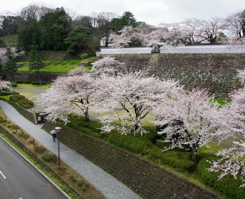Kanazawa, parc du château au printemps Kanazawa, parc du château au printemps