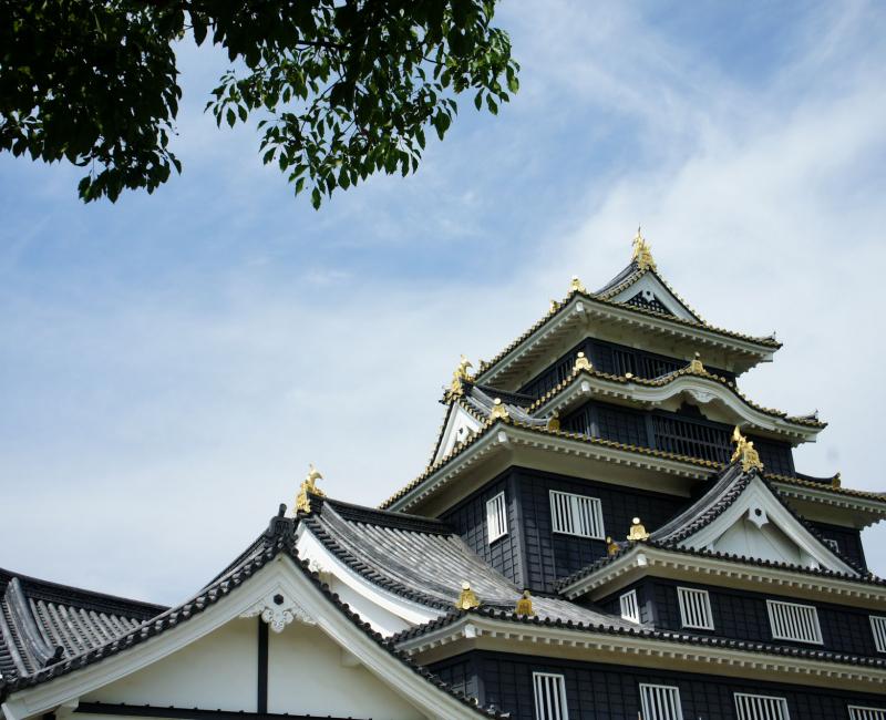 Okayama (Chugoku), donjon du château