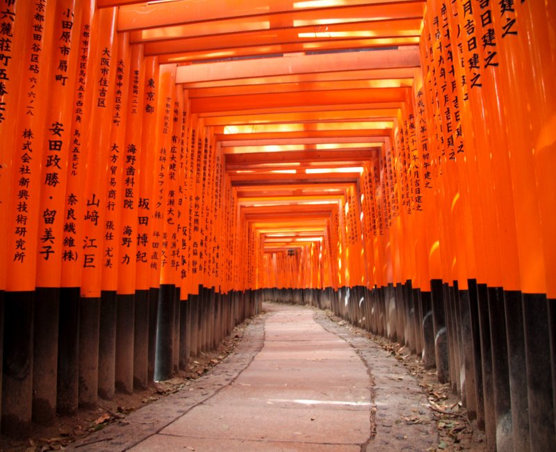 Fushimi Inari Taisha à Kyoto, Couloir de portes torii