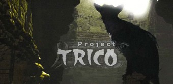 project-trico