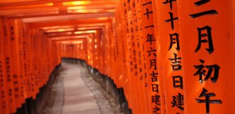 Fushimi Inari Taisha à Kyoto, Couloir de portes torii 6