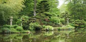 jardin-japonais-maulevrier-6