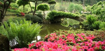 jardin-japonais-maulevrier-7